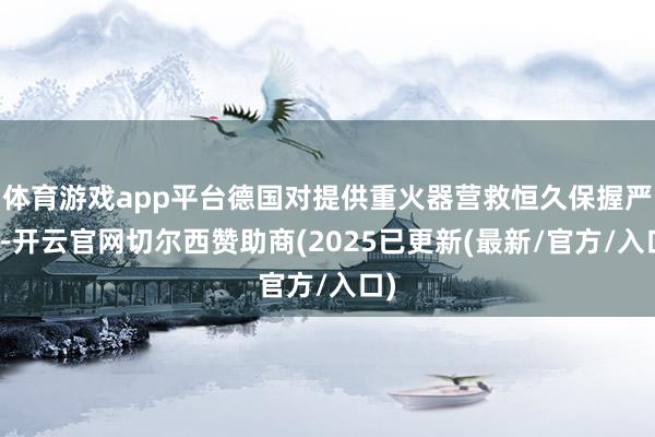 体育游戏app平台德国对提供重火器营救恒久保握严慎-开云官网切尔西赞助商(2025已更新(最新/官方/入口)