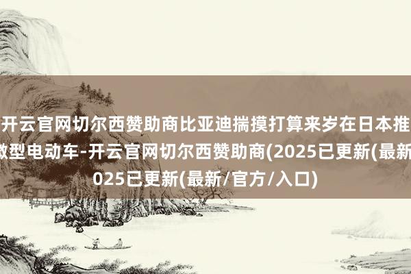 开云官网切尔西赞助商比亚迪揣摸打算来岁在日本推出一款廉价微型电动车-开云官网切尔西赞助商(2025已更新(最新/官方/入口)