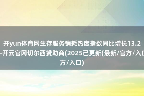 开yun体育网生存服务销耗热度指数同比增长13.2%-开云官网切尔西赞助商(2025已更新(最新/官方/入口)