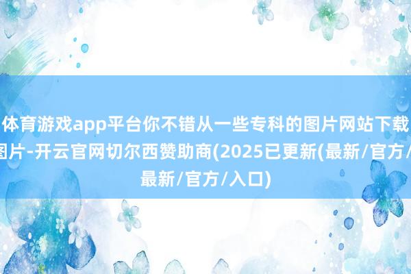 体育游戏app平台你不错从一些专科的图片网站下载高清图片-开云官网切尔西赞助商(2025已更新(最新/官方/入口)